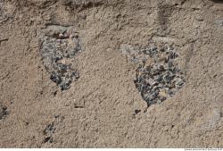 Photo Texture of Wall Stucco